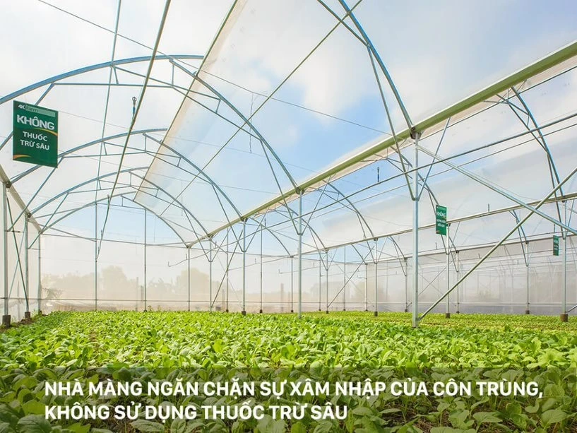 Nông trại 4K Farm – Trúc Nghinh Phong góp phần xây dựng nền nông nghiệp nước nhà